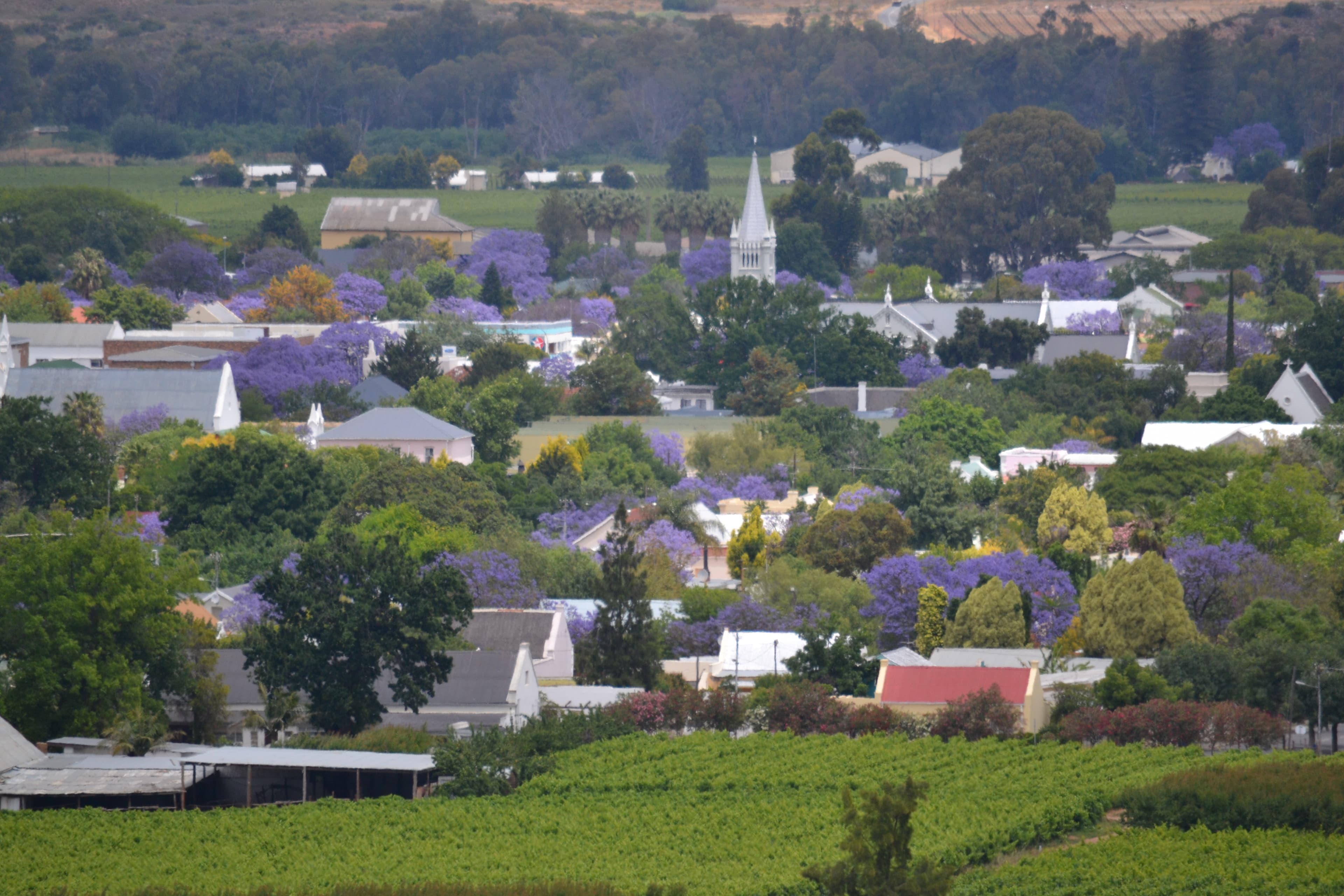 Robertson, Western Cape - Professional printing services
